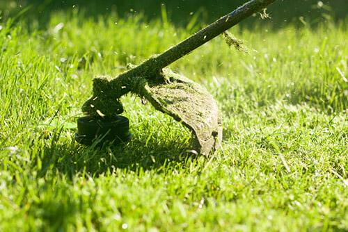 Grass Trimming