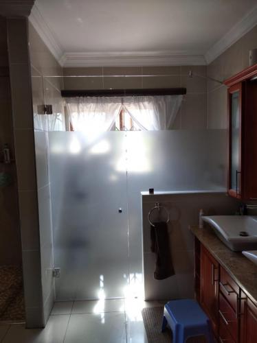 Window Frosting Toilet Privacy